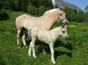 fjording-mother-and-daughter.jpg